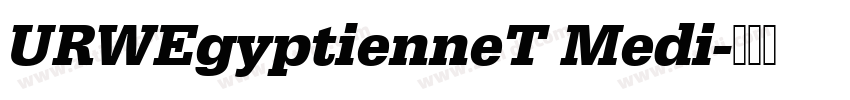 URWEgyptienneT Medi字体转换 URWEgyptienneT Medi字体转换